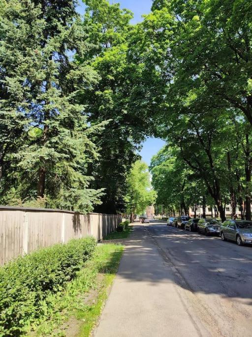 Apartment уютный лофт среди старых парков