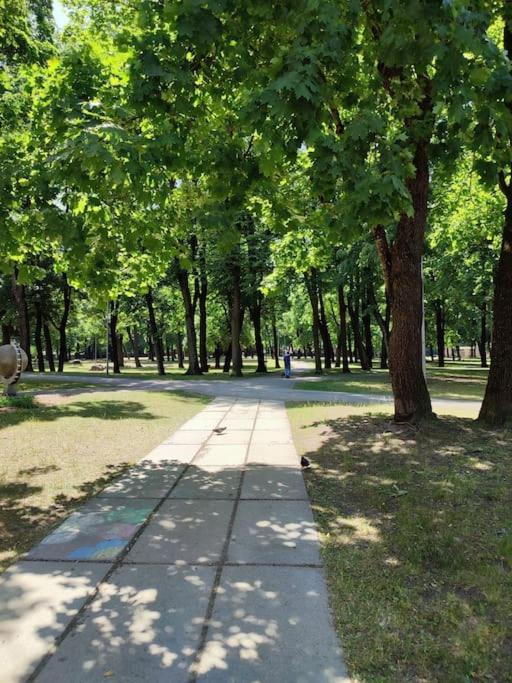 уютный лофт среди старых парков Apartment *